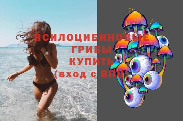 СК Аркадак